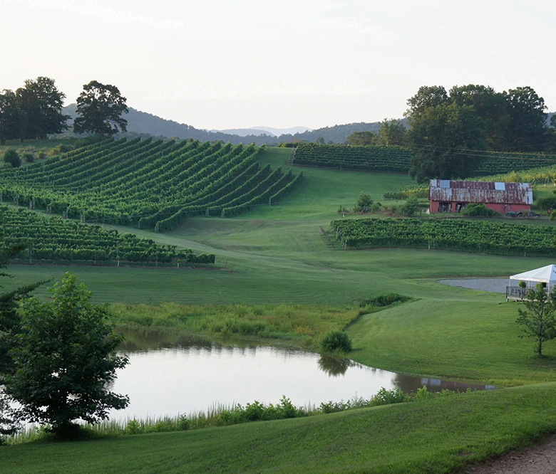 Three Sisters Vineyards & Winery